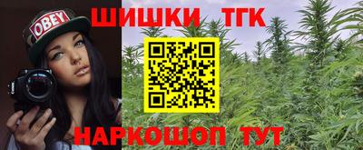 apvp Партизанск