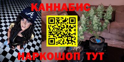 apvp Партизанск